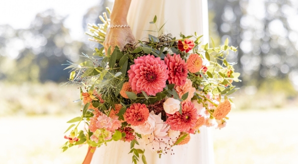 Foto van De Blije Vlinders Foto van De Blije Vlinders