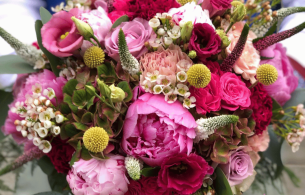 Foto van Liefs Living Foto van Liefs Living