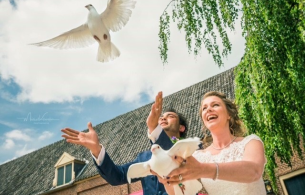 Foto van Witte postduiven verhuur Zevenaar Foto van Witte postduiven verhuur Zevenaar