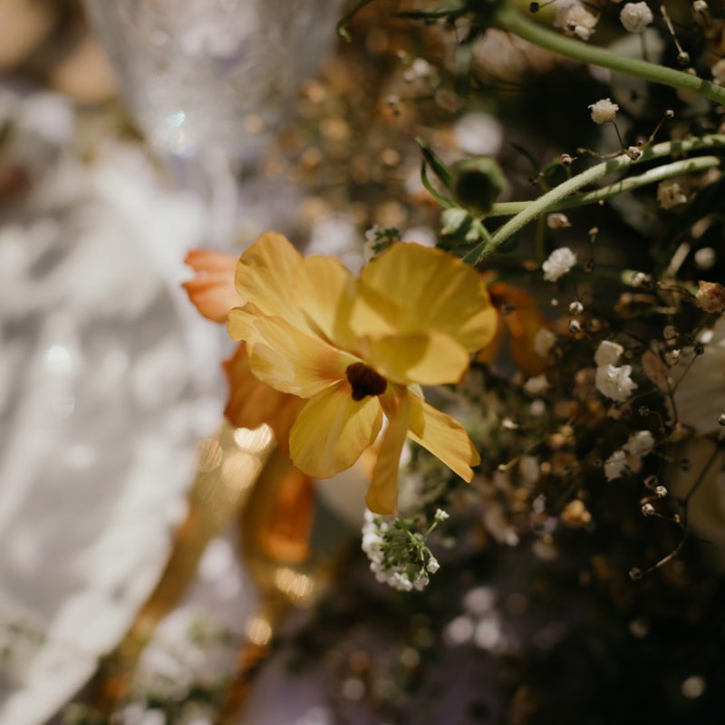 bloemen